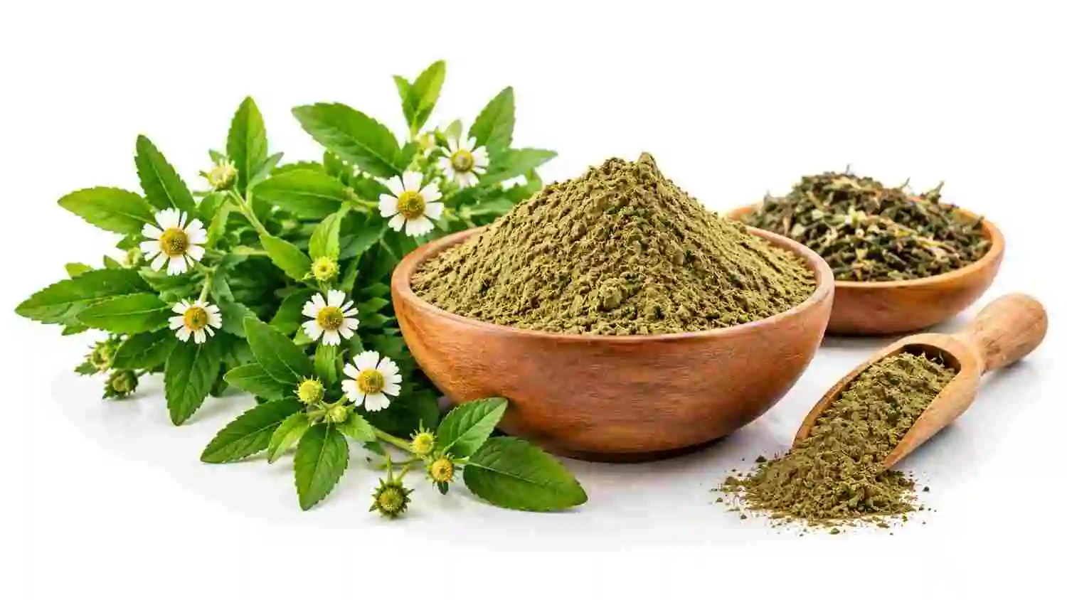 Bhringraj Powder for Hair: What Bulk Buyers Should Check