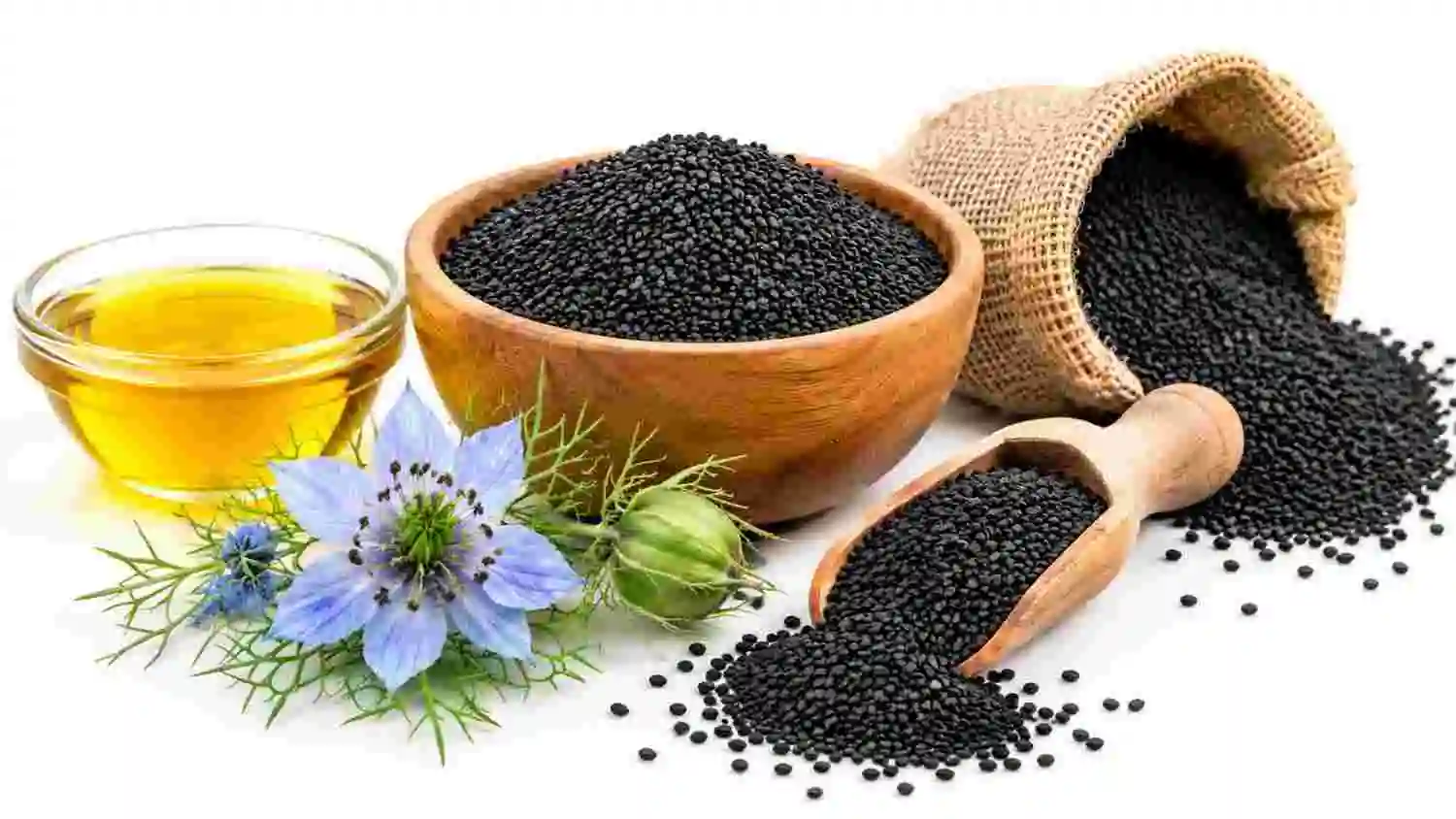 Nigella Seeds: Sourcing, Quality & Export Guide