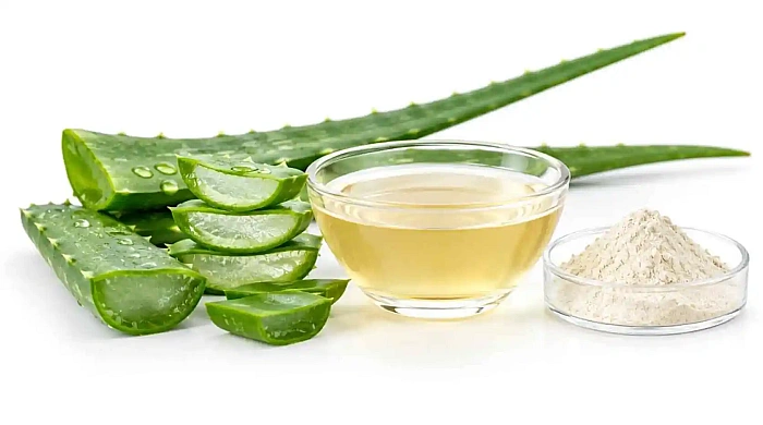 Aloe Vera Extract in India: A B2B Sourcing Guide