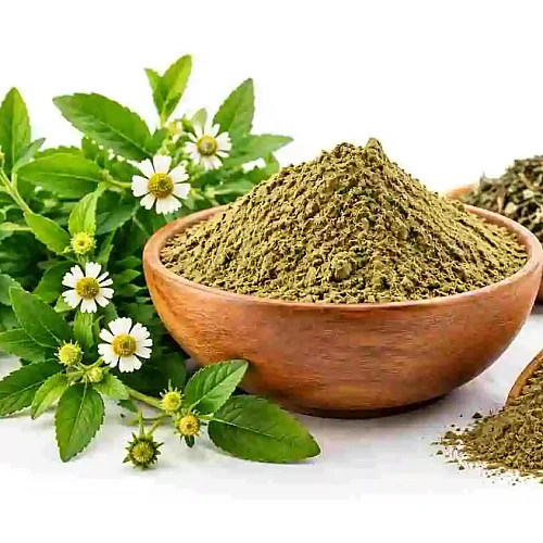Bhringraj Powder for Hair: What Bulk Buyers Should Check