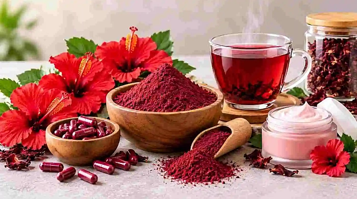 How to Source Quality Hibiscus Powder for Your Business