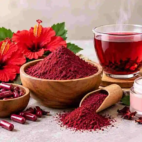 How to Source Quality Hibiscus Powder for Your Business