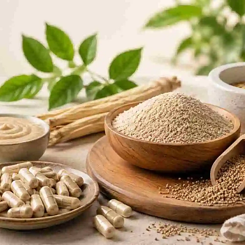 Why India Is a Preferred Source for Premium Psyllium Husk Suppliers