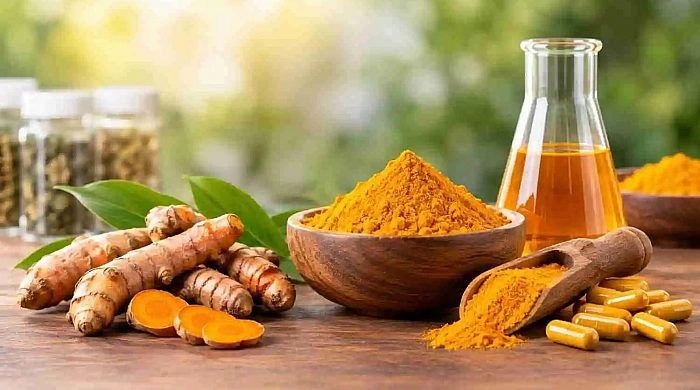 How to Choose a Reliable Turmeric Extract Supplier in India